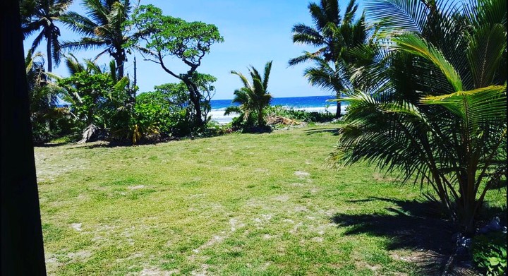 paradise