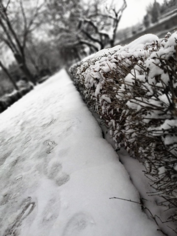 ❄️❄️?️❄️❄️