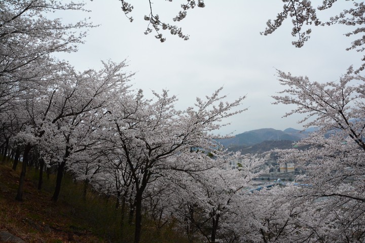 풍경이미지