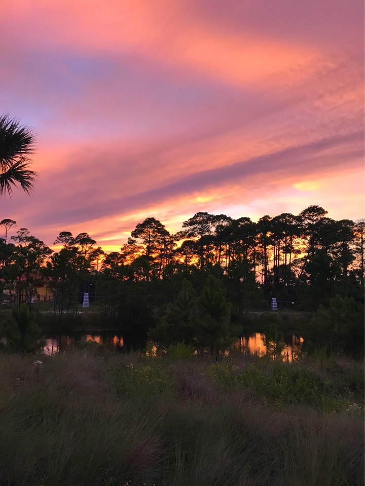 Sunset Porn