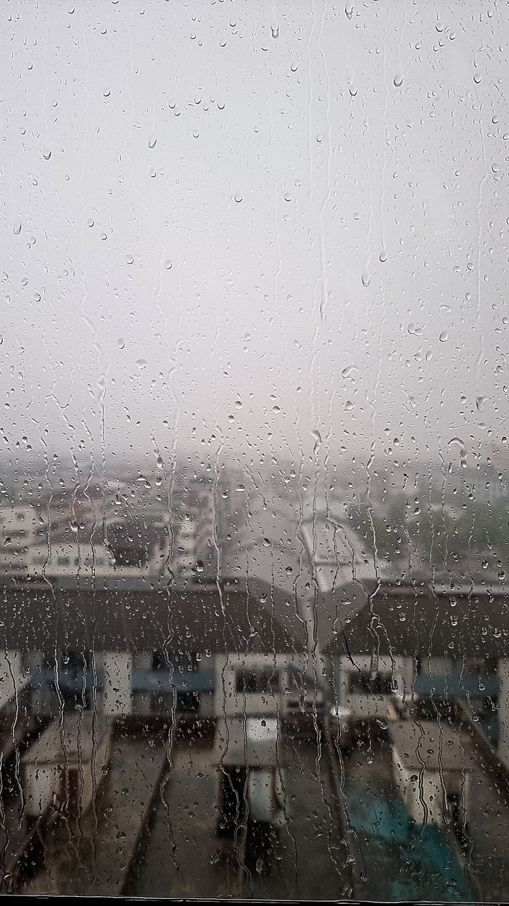 Rain