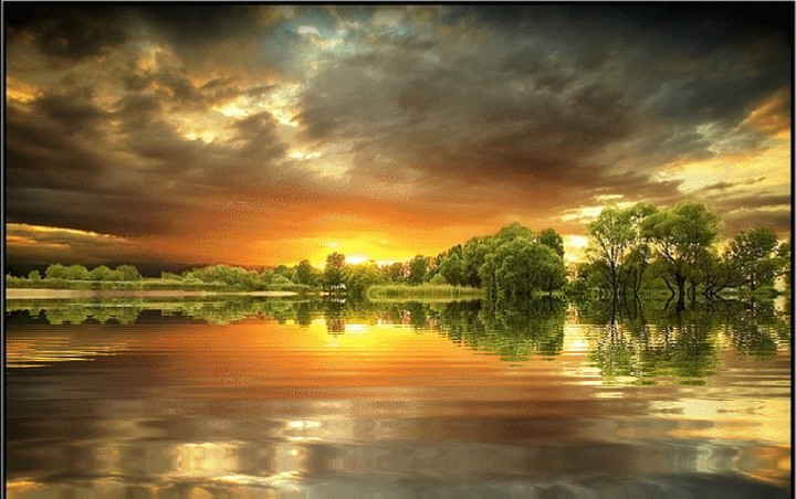 reflection