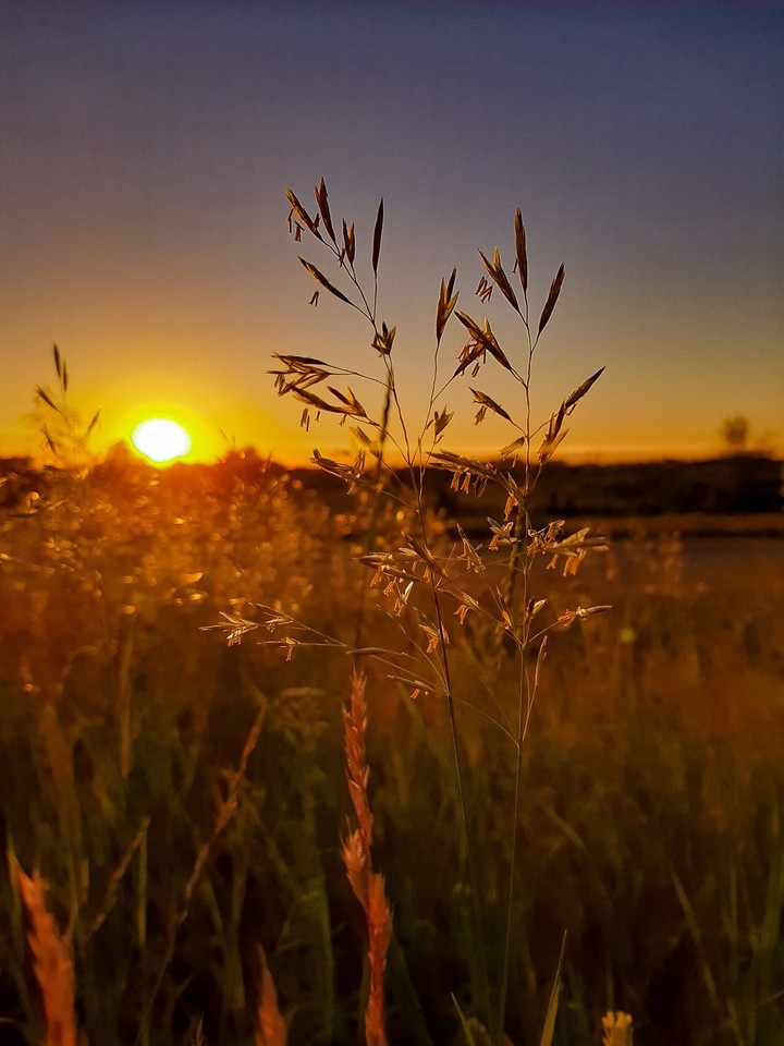 summer