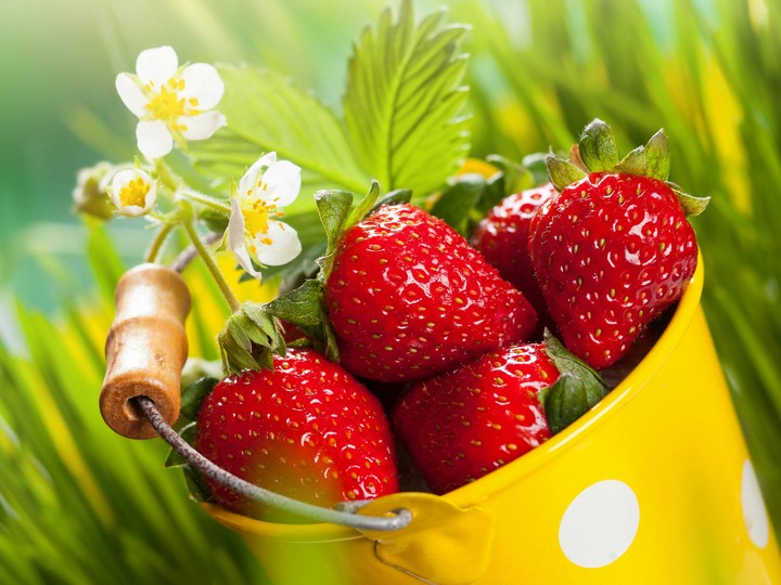 ♥_♥Strawberries⭐