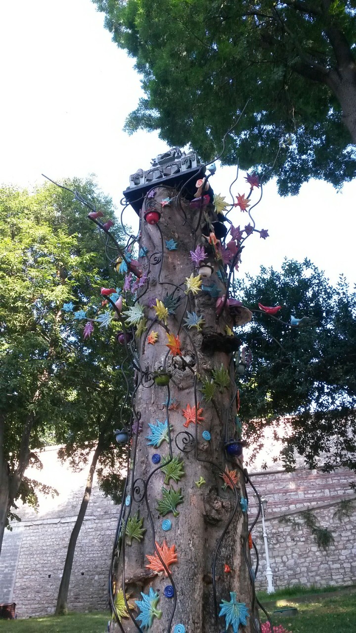 Colorful Tree