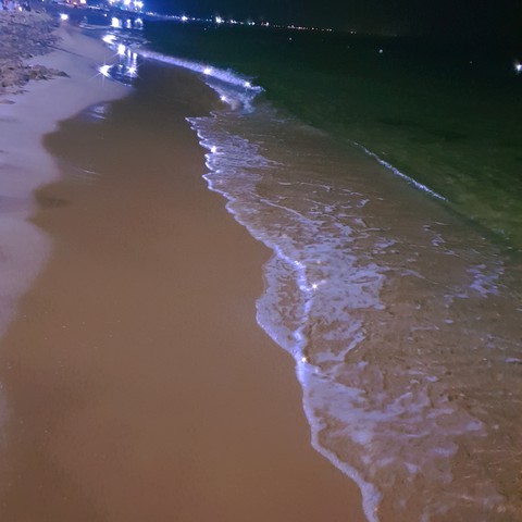 여름밤