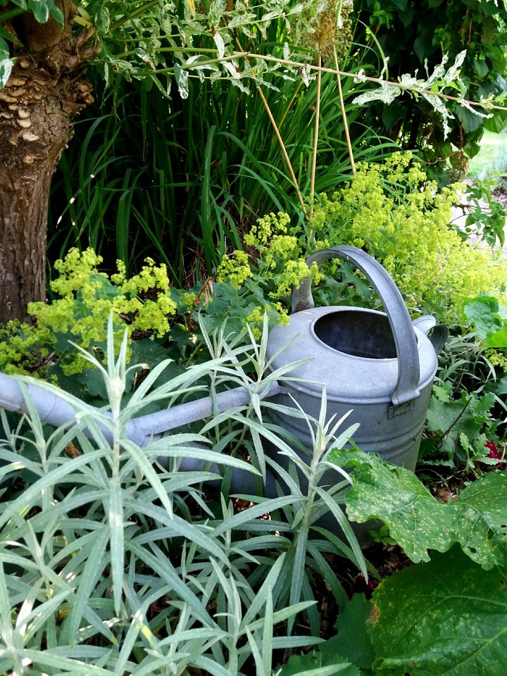 watering can