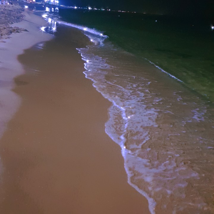 여름밤