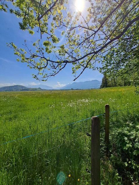 平原, 生态区壁纸