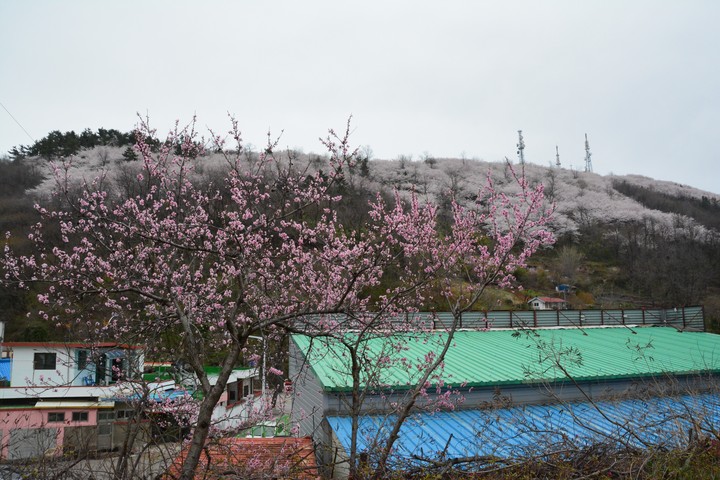 풍경이미지