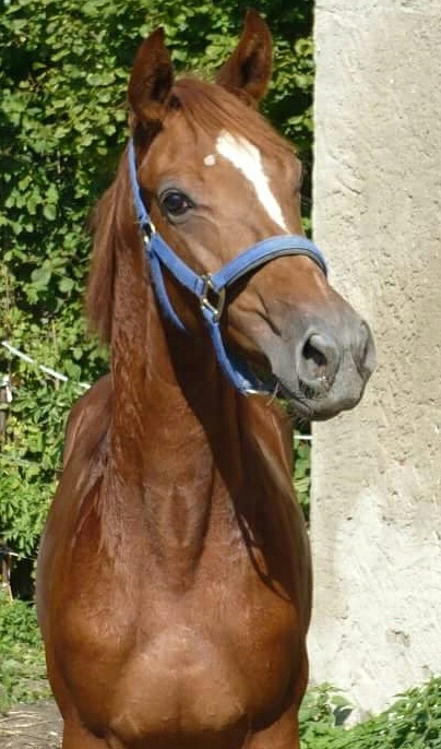 Lenzberg