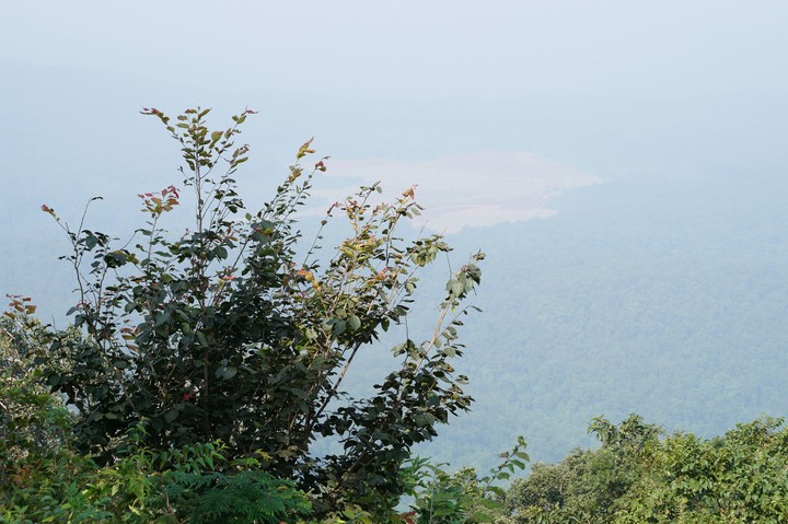 landscape view
