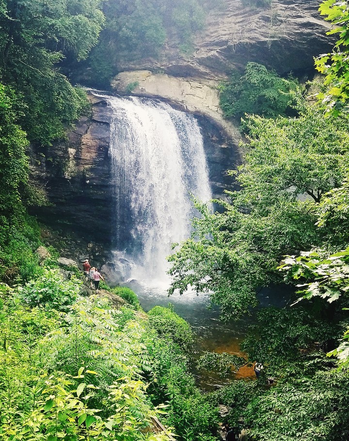 Looking Glass Falls