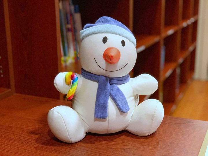 Toy in a Library