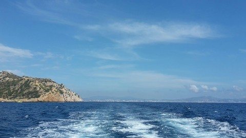 waves, horizon壁纸
