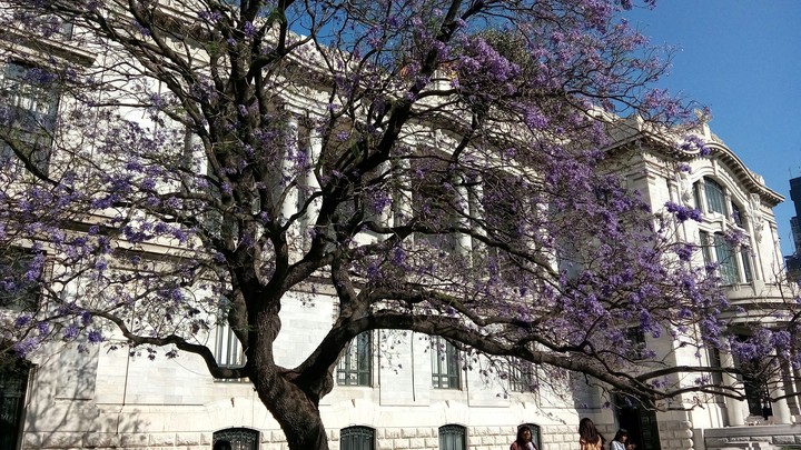 Primavera