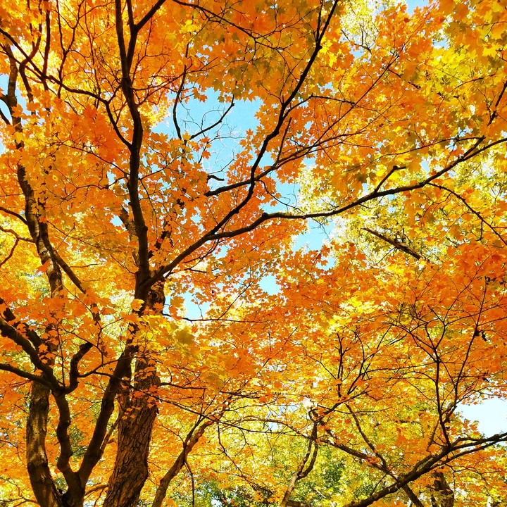 Autumn
