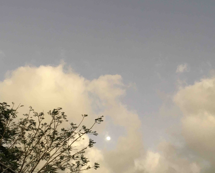 The little moon.