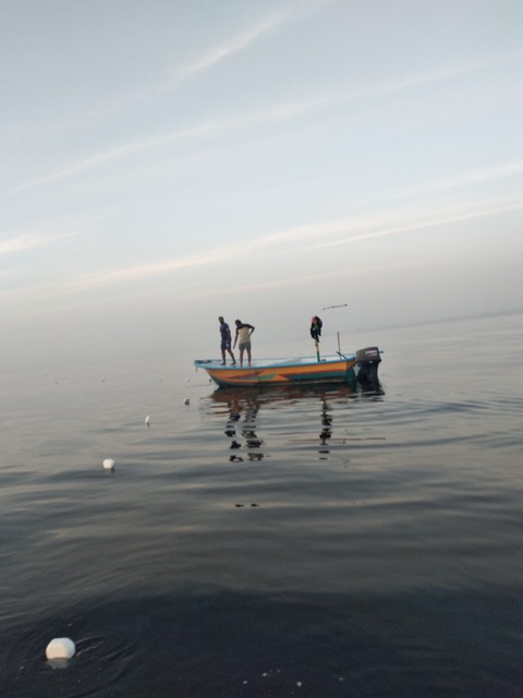sea