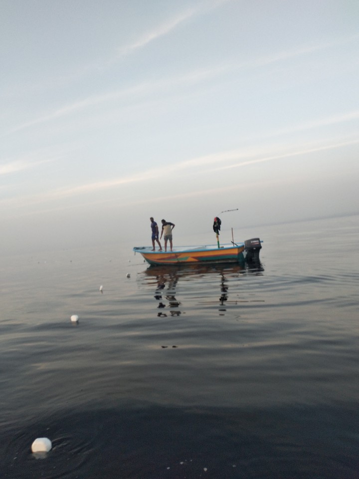sea