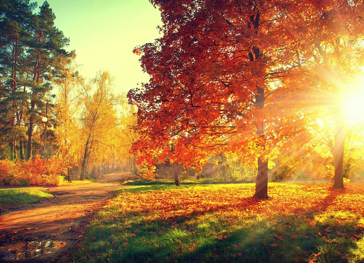 Autumn 
