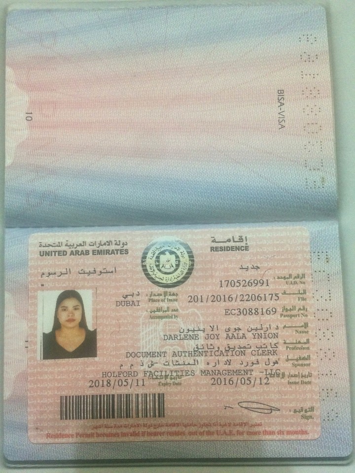 darlene visa
