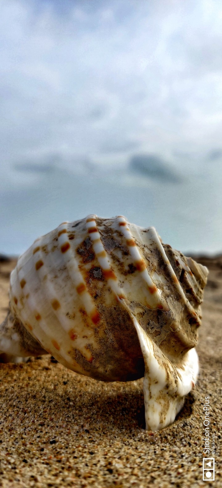 Beech photography I love my passion please like it