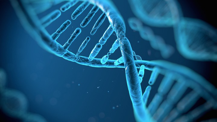 DNA