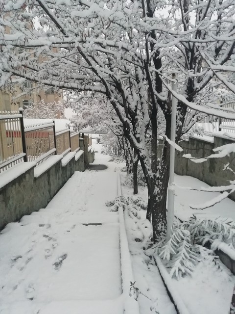 Iran is butiful