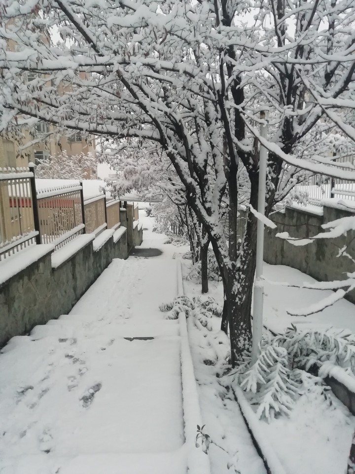 Iran is butiful