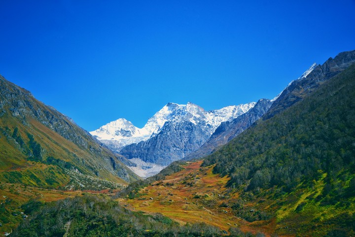 The Vally of flowers