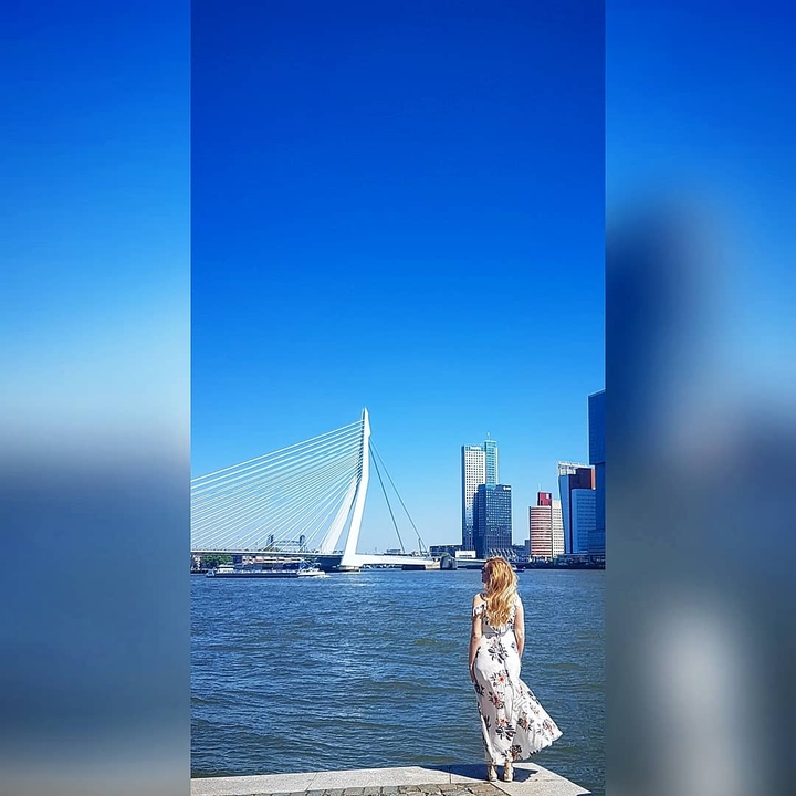 Eramusbrug 'rotterdam'