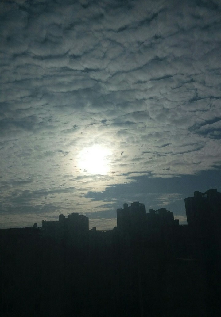 morning