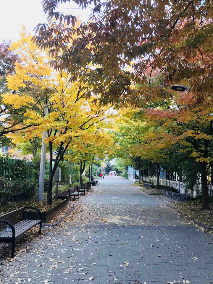 가을 길