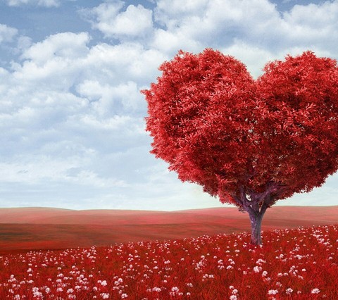 tree love