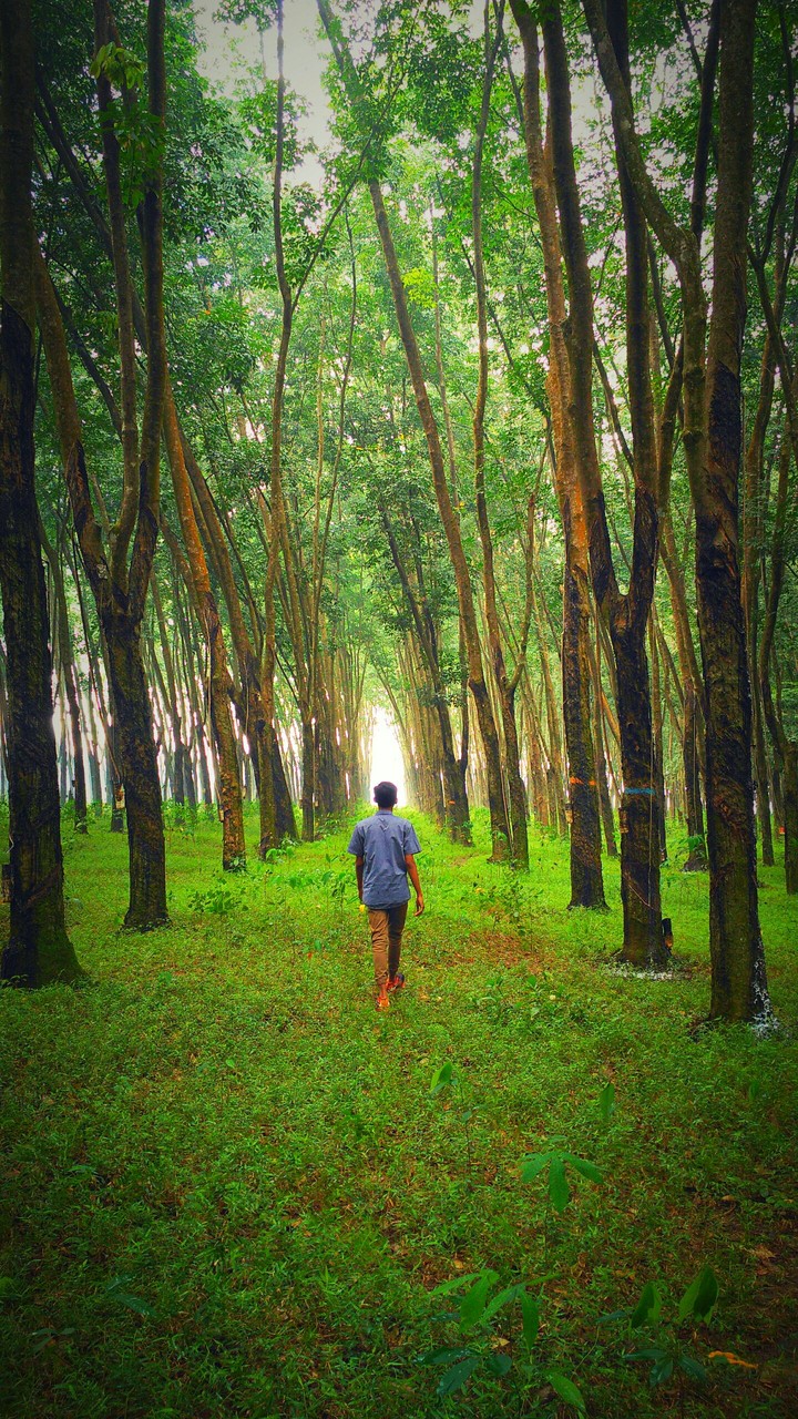 way to freedom