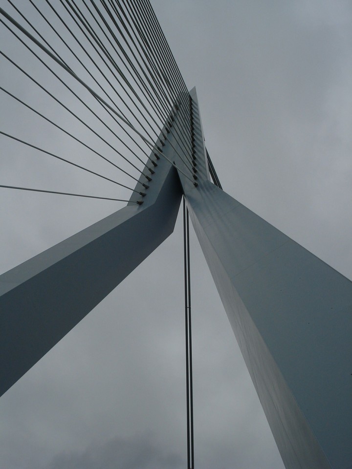 Erasmusbrug