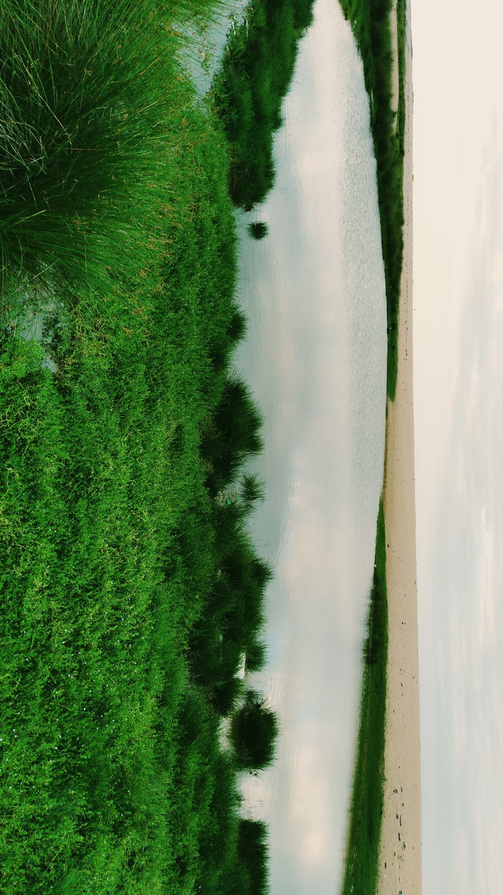 Water Pool