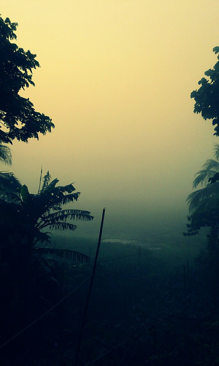 winter morning