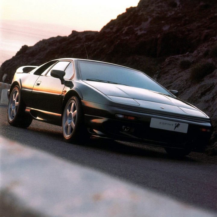lotus