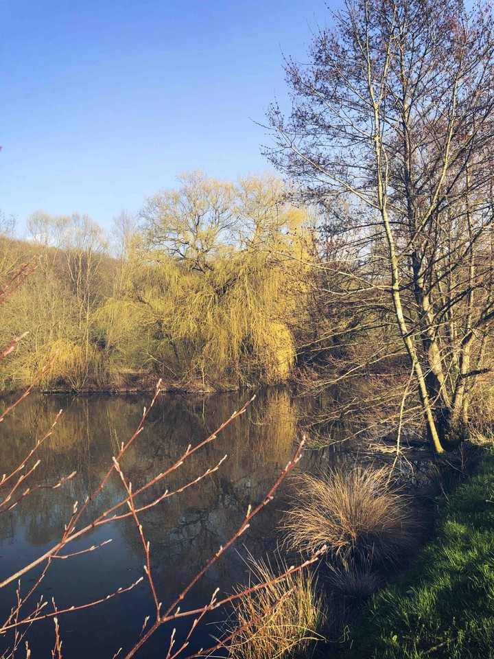 Enjoy the beautiful nature