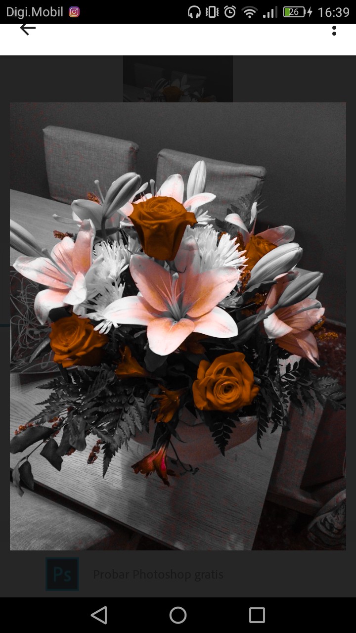 Ramo de flores