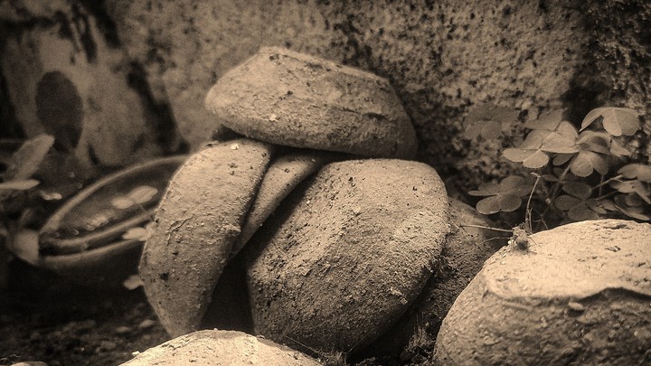 mud cups
