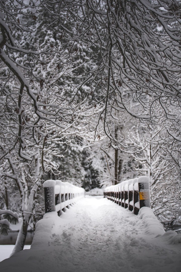 winter