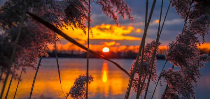 Melody of Sunset