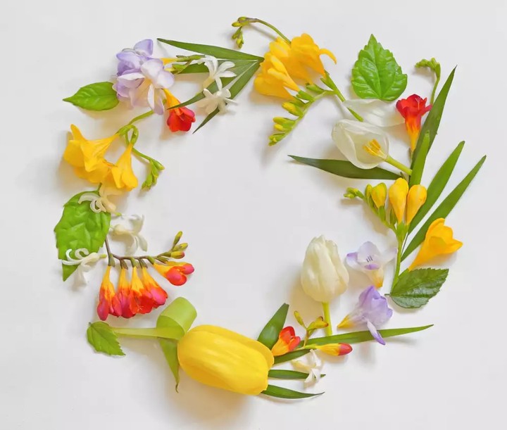 spring