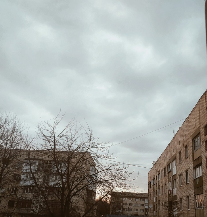 красота