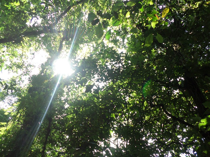 sol