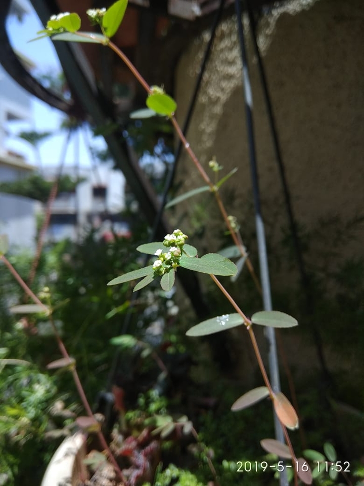 nature