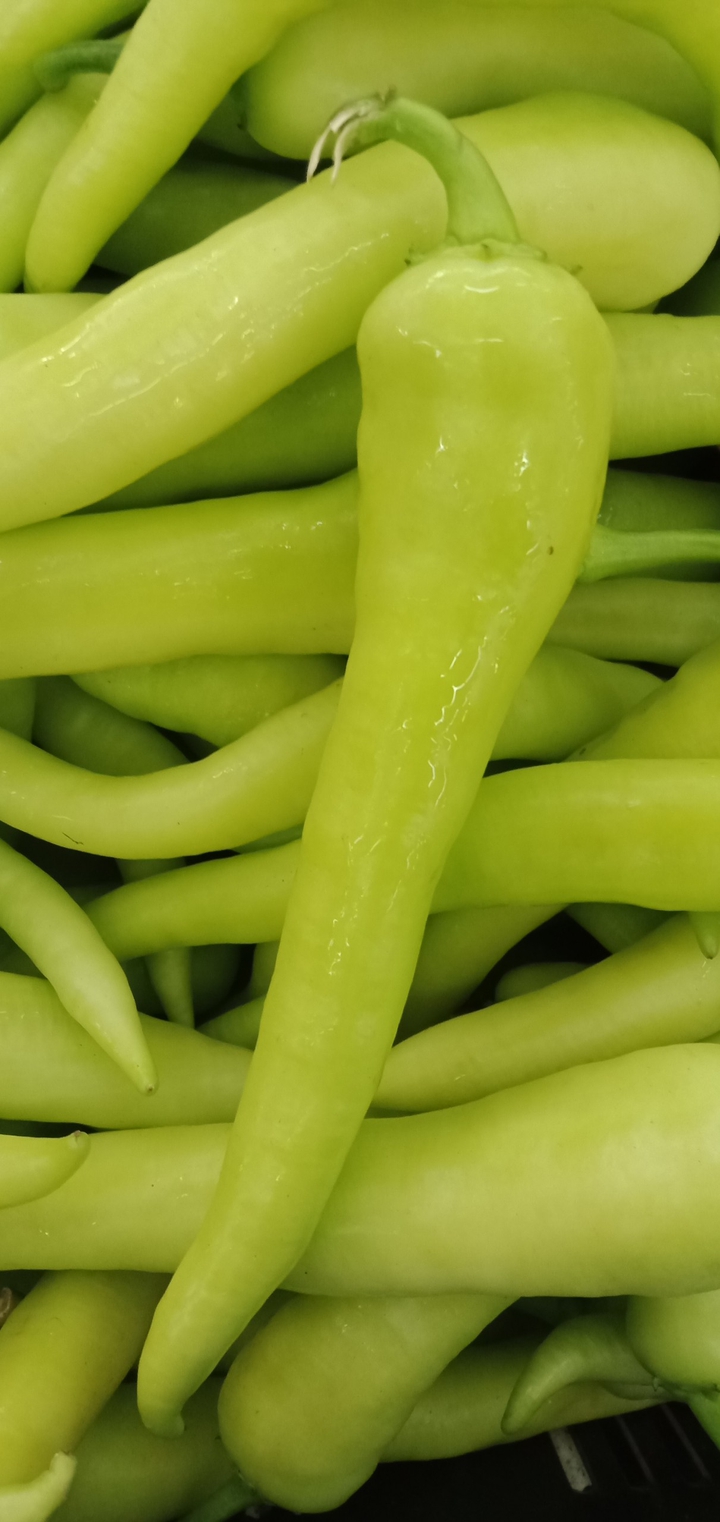Chili solok